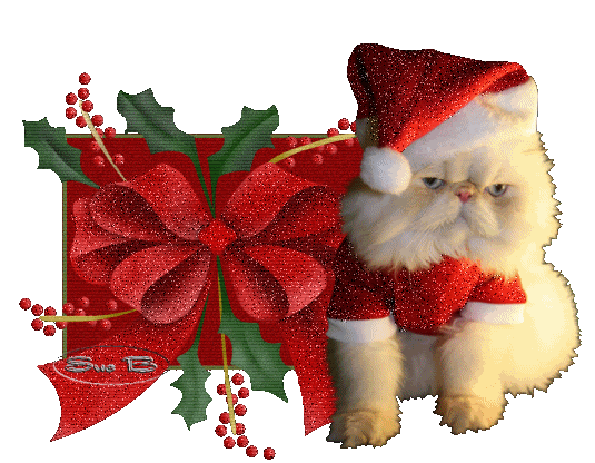 Grote kerstanimatie van een kerstdier - Boze poes met kerstkleding naast een rood kerstcadeau met rode strik