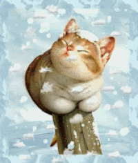 Kleine animatie van een kerstdier - Katje in de sneeuw