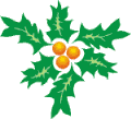 Mini kerstanimatie - Van kleur verschietende hulstbladeren