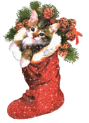 Grote animatie van een kerstsok - Katje in een rode kerstsok